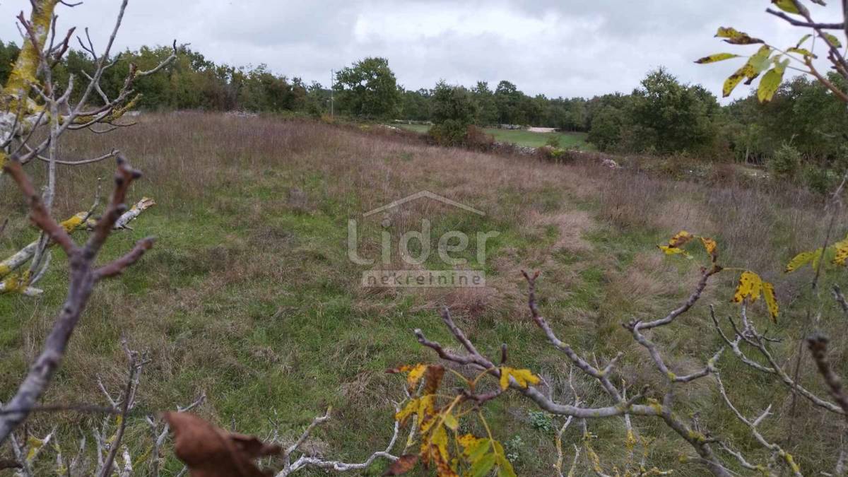 Terreno Tomišići, Žminj, 5.320m2