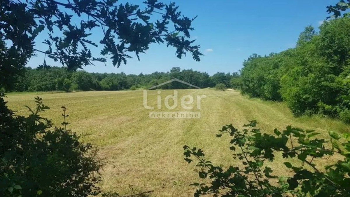 Terreno Zabrežani, Pazin - Okolica, 20.000m2