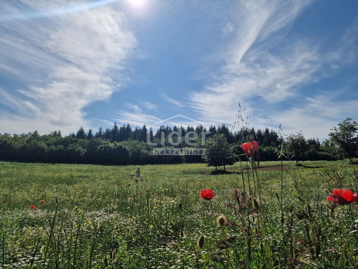 Terreno Markovići, Vižinada, 10.858m2