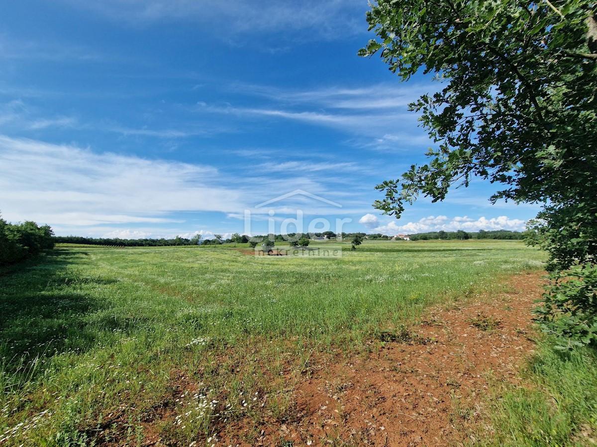 Terreno Markovići, Vižinada, 10.858m2