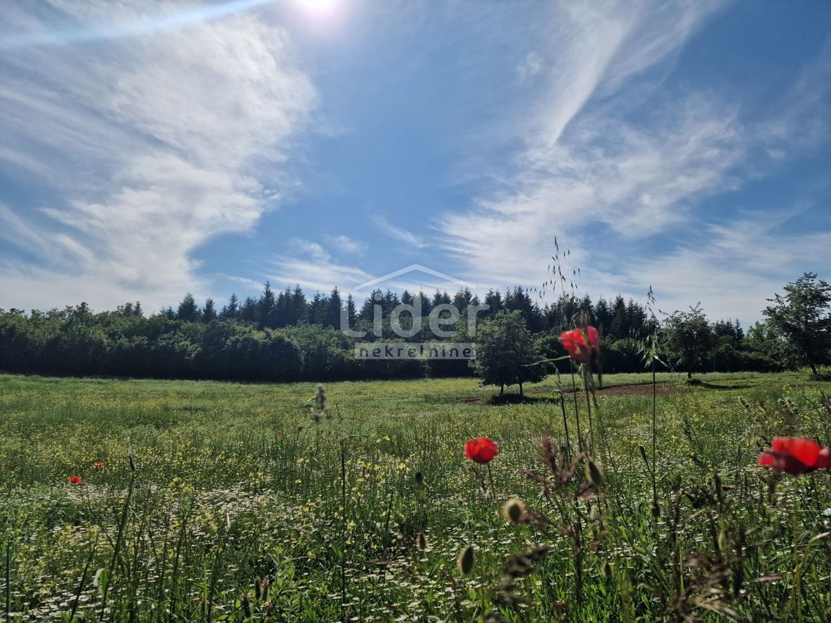 Terreno Markovići, Vižinada, 10.858m2