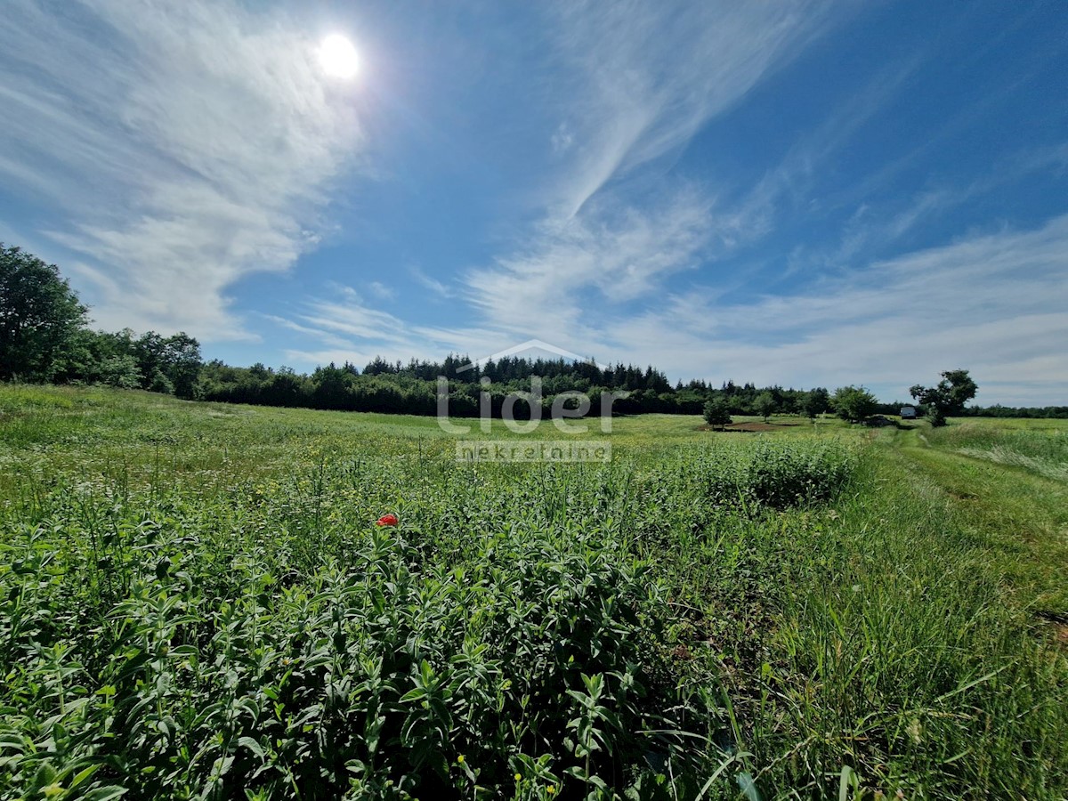 Terreno Markovići, Vižinada, 10.858m2