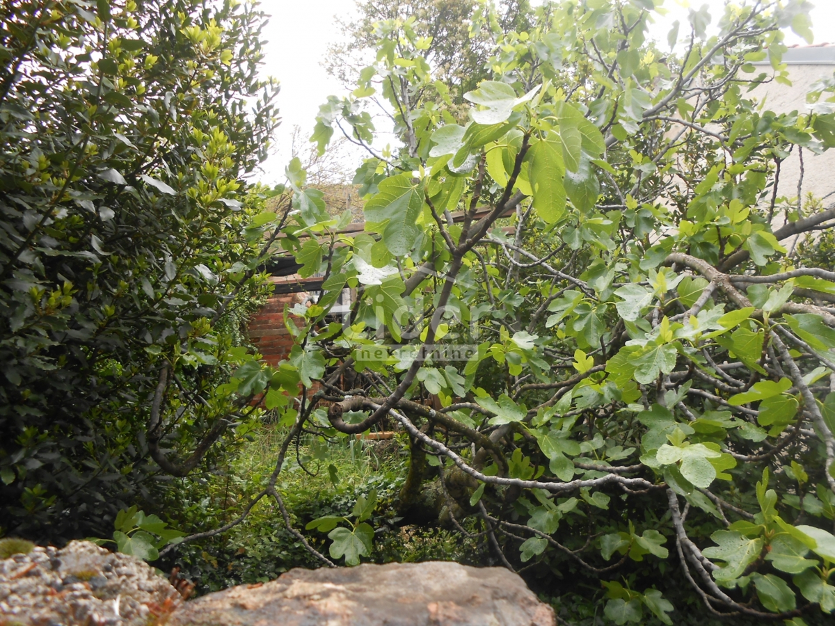 BRIBIR Tipica casa in pietra in un ambiente tranquillo