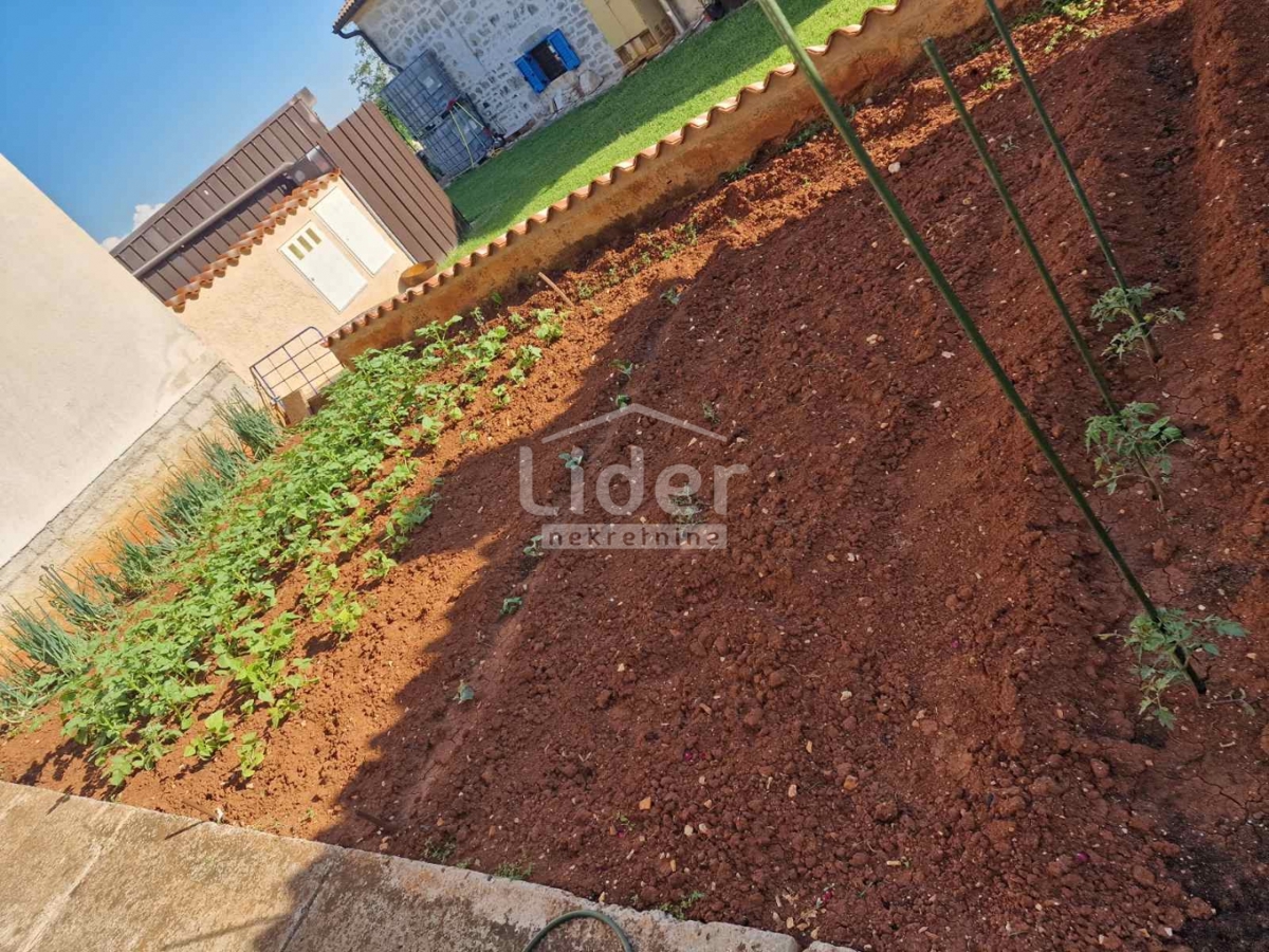 Casa Višnjan, 677,14m2