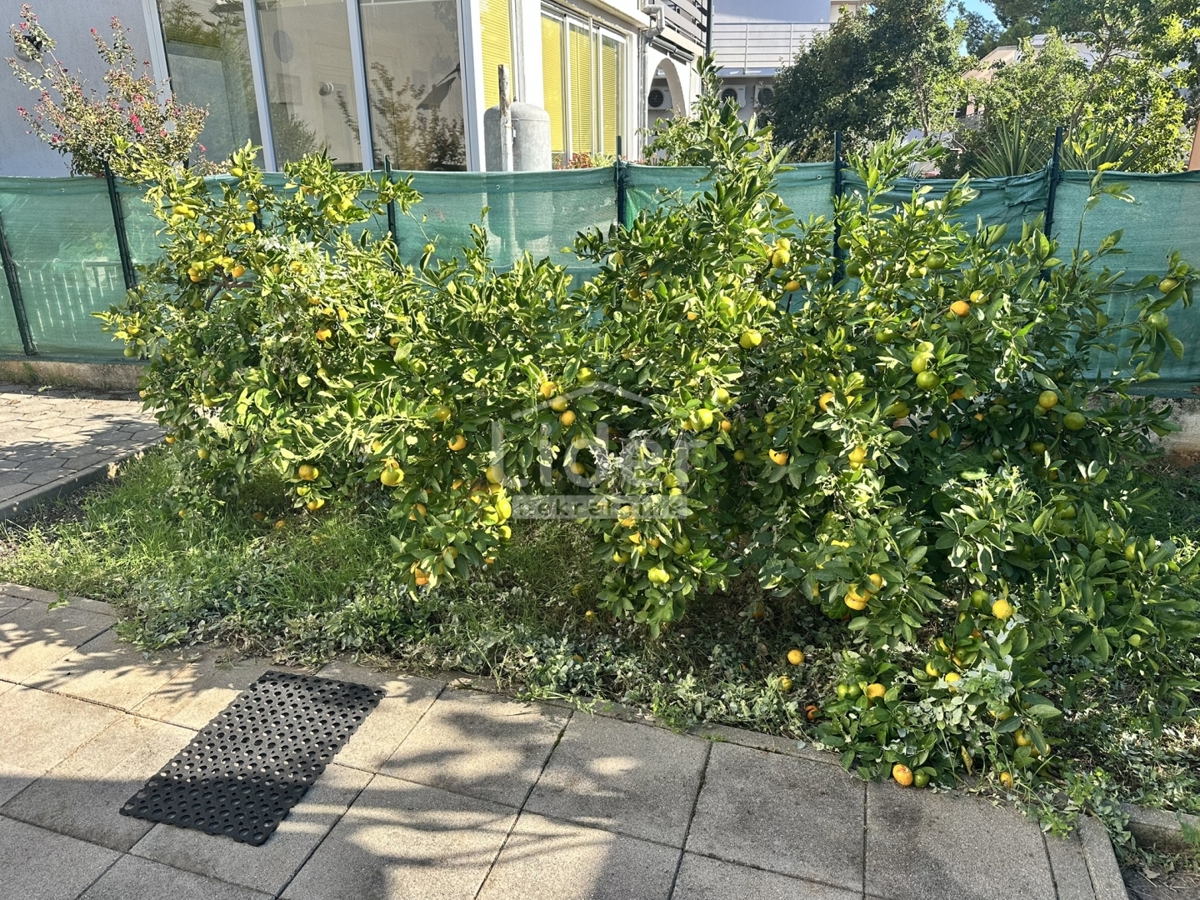 Casa con 2 appartamenti a soli 80 metri dal mare