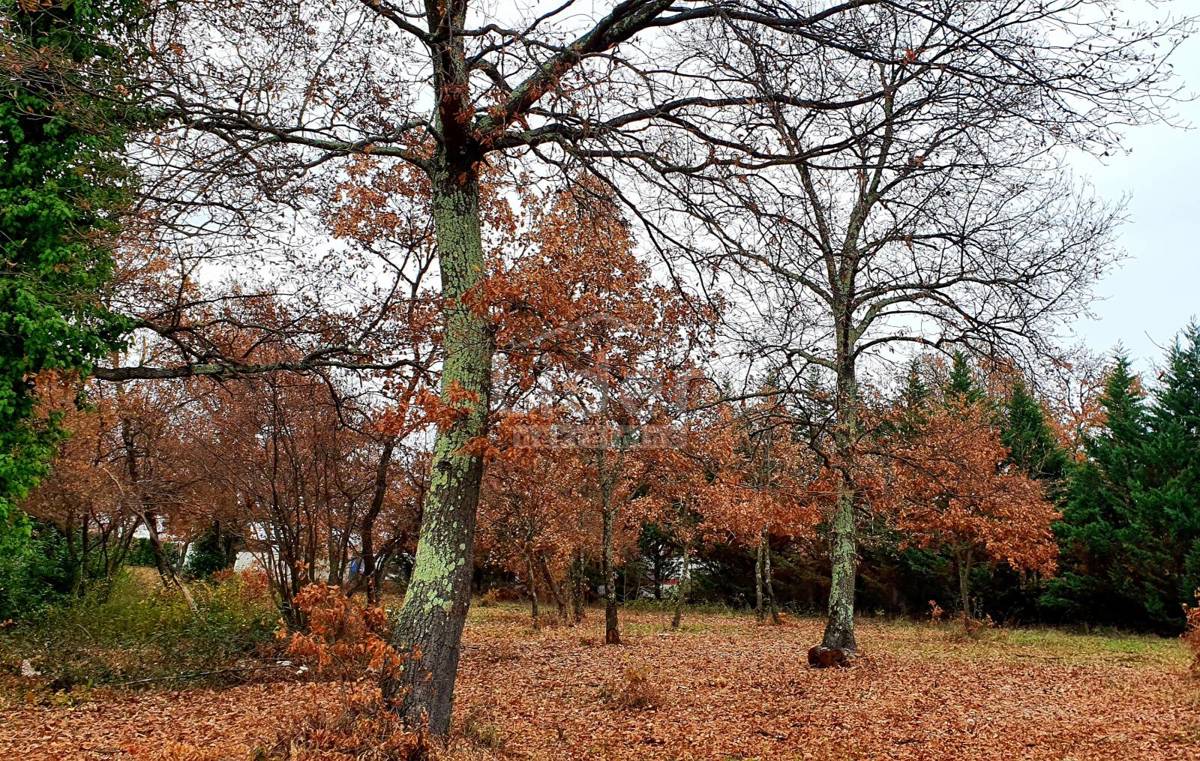 Terreno Poreč, 2.755m2