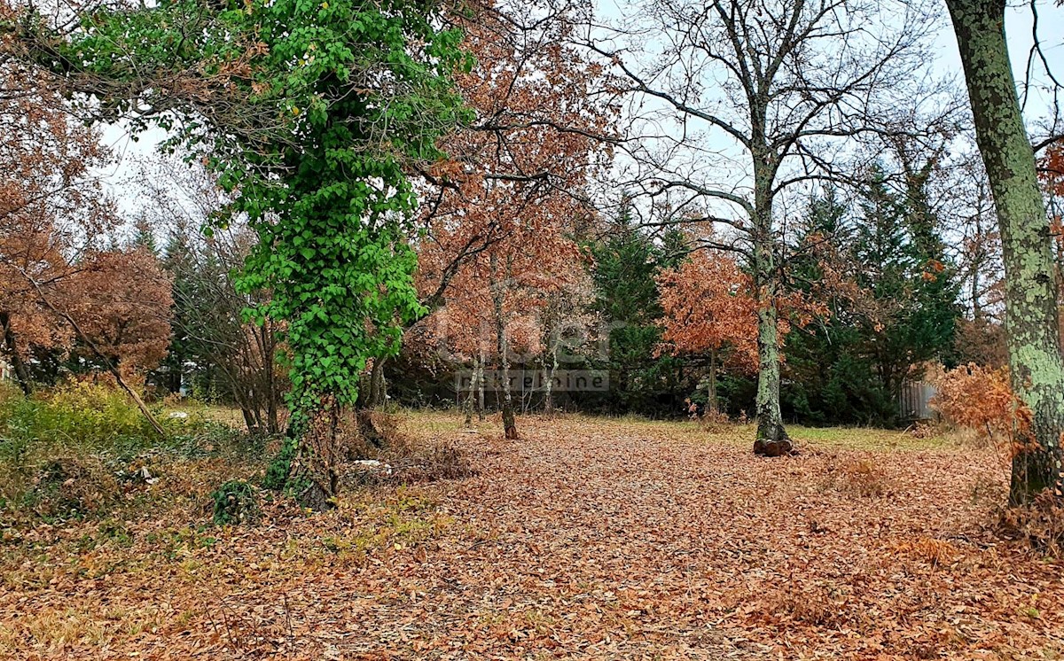 Terreno Poreč, 2.755m2