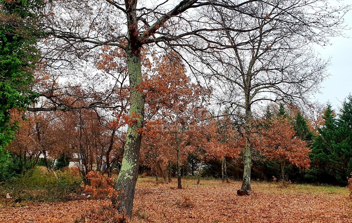 Terreno Poreč, 2.755m2