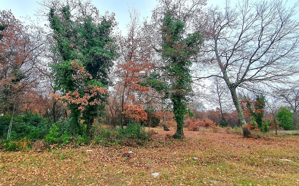 Terreno Poreč, 2.755m2