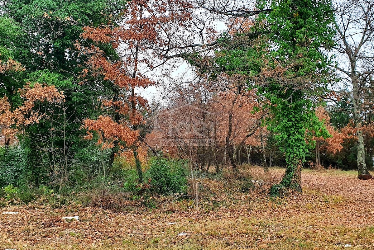 Terreno Poreč, 2.755m2