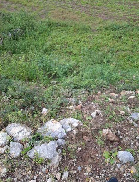 LIPA Terreno 424 m2 con licenza edilizia