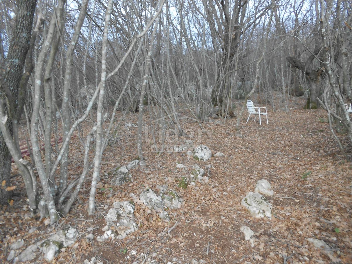 BAJČIĆI (KRK) Oliveto e terreno agricolo