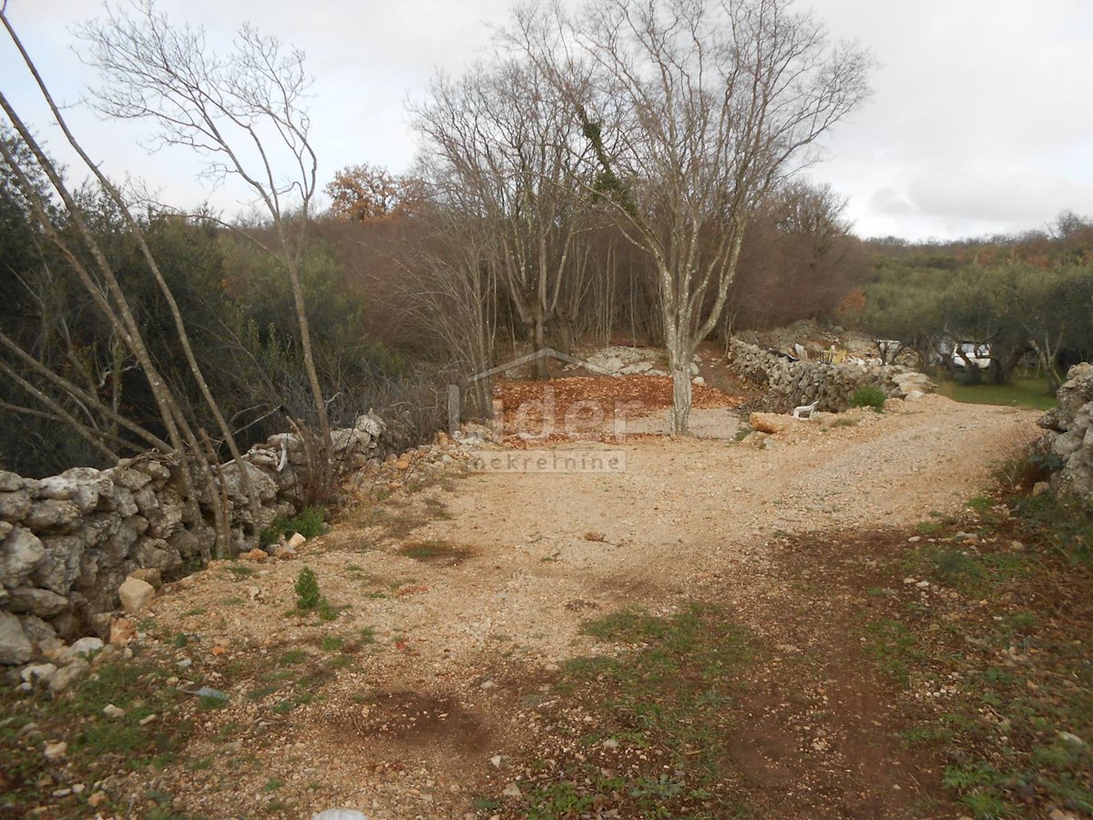 BAJČIĆI (KRK) Oliveto e terreno agricolo