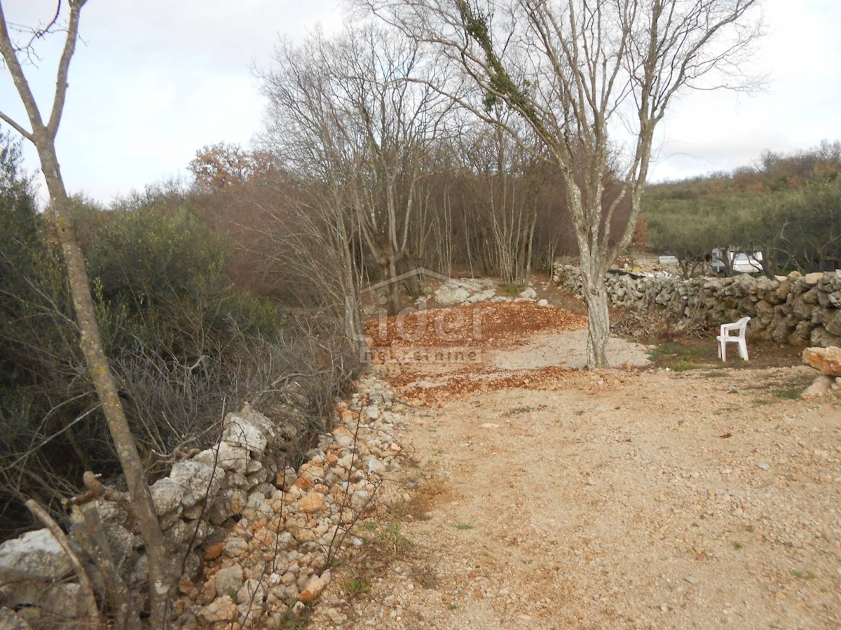 BAJČIĆI (KRK) Oliveto e terreno agricolo