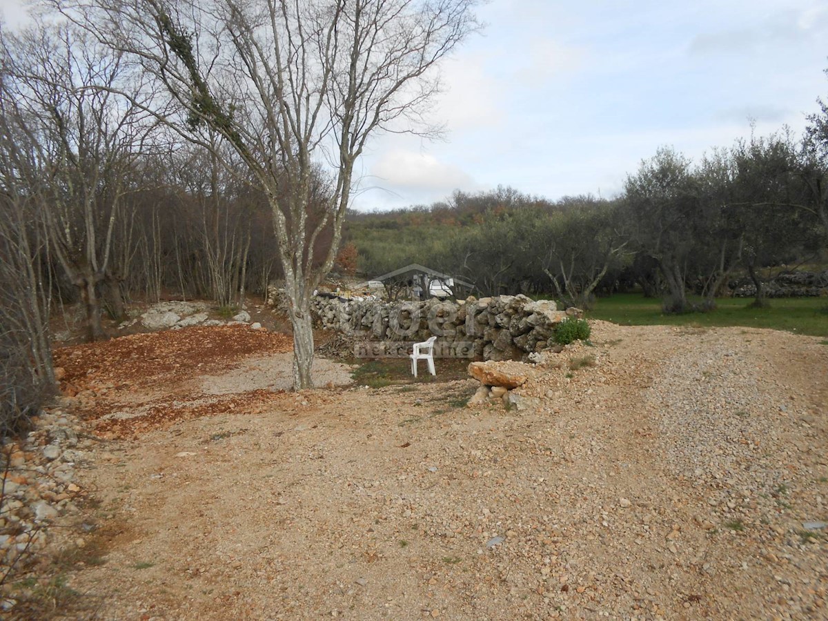 BAJČIĆI (KRK) Oliveto e terreno agricolo