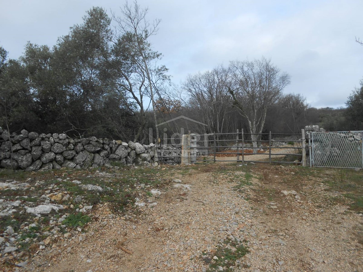 BAJČIĆI (KRK) Oliveto e terreno agricolo