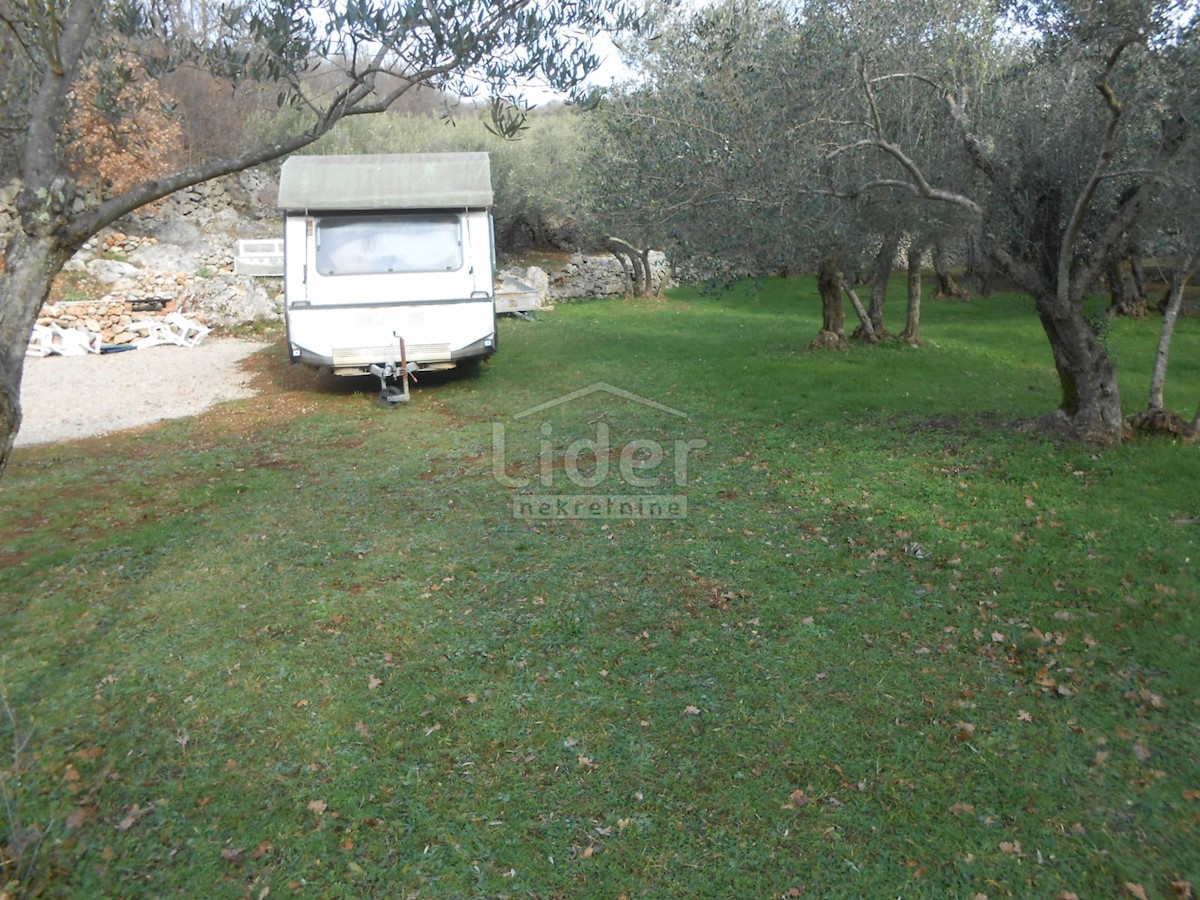 BAJČIĆI (KRK) Oliveto e terreno agricolo