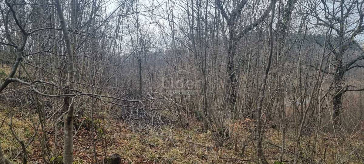 Terreno Viškovo, 2.142m2