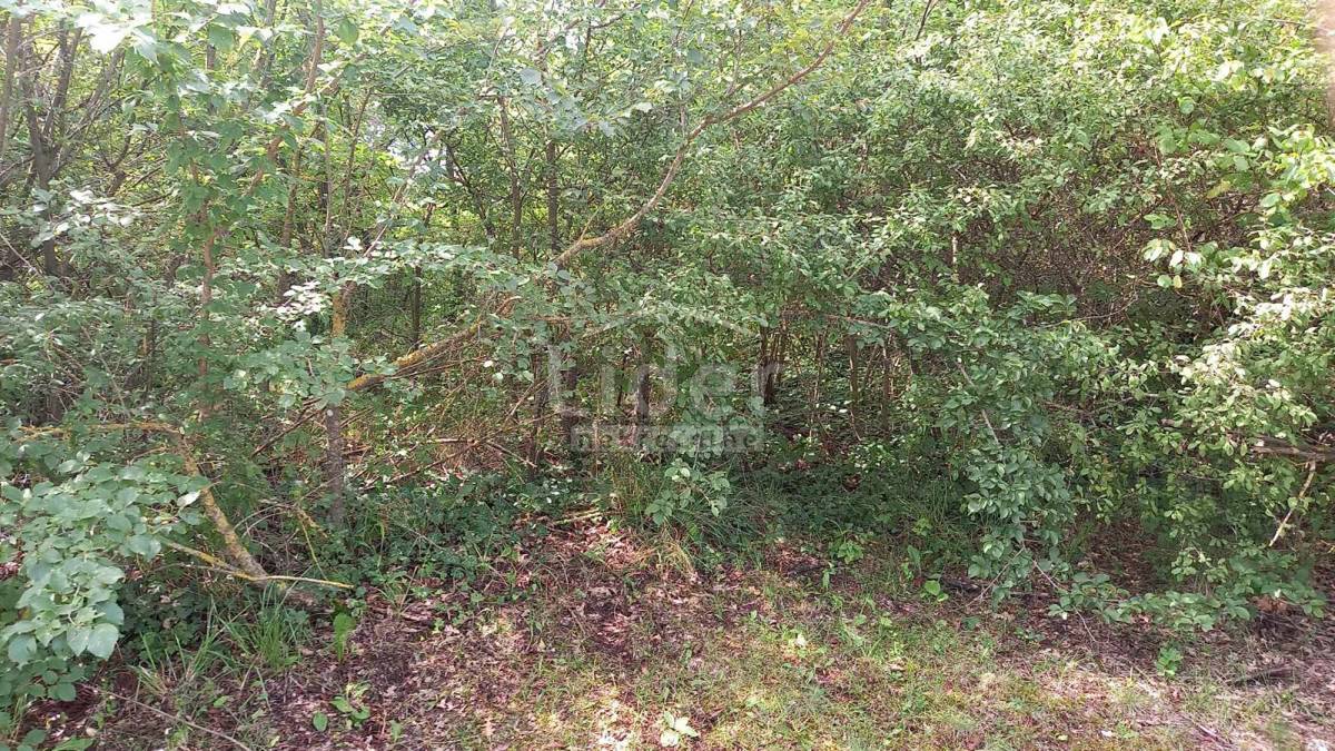 Terreno Laginji, Žminj, 1.950m2