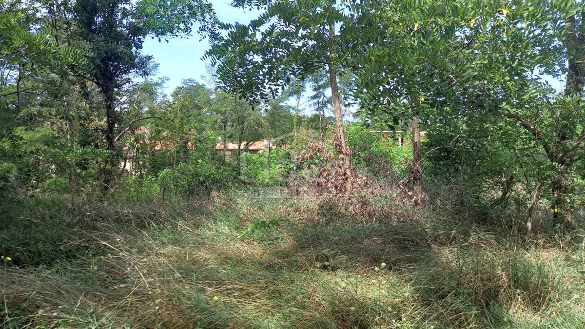 Terreno Laginji, Žminj, 2.370m2