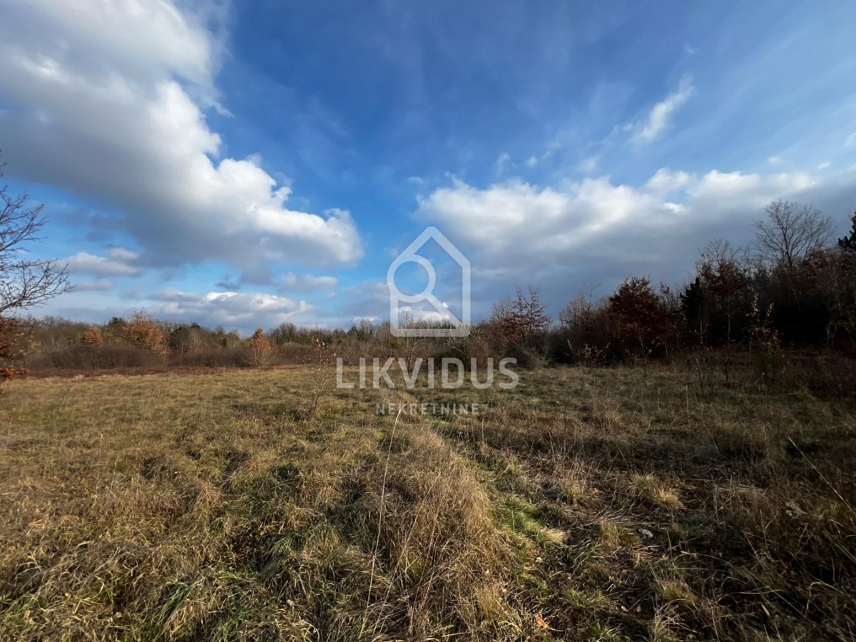 Terreno Kunj, Raša, 11.116m2