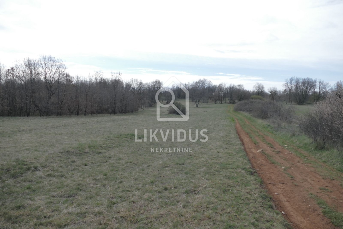 Terreno Štokovci, Svetvinčenat, 4.060m2