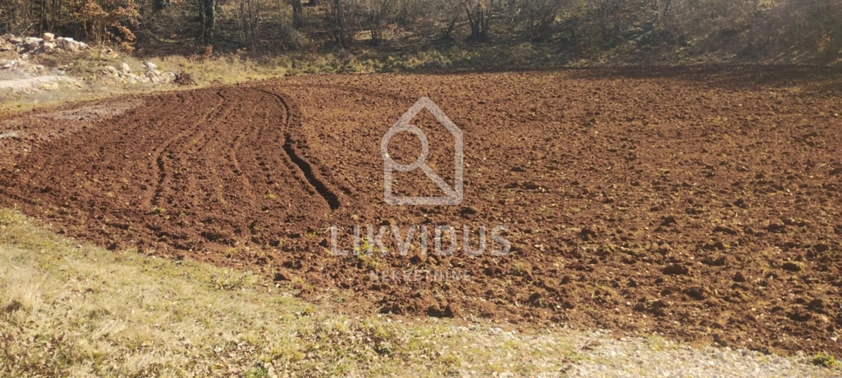 Terreno Kranjčići, Svetvinčenat, 27.300m2