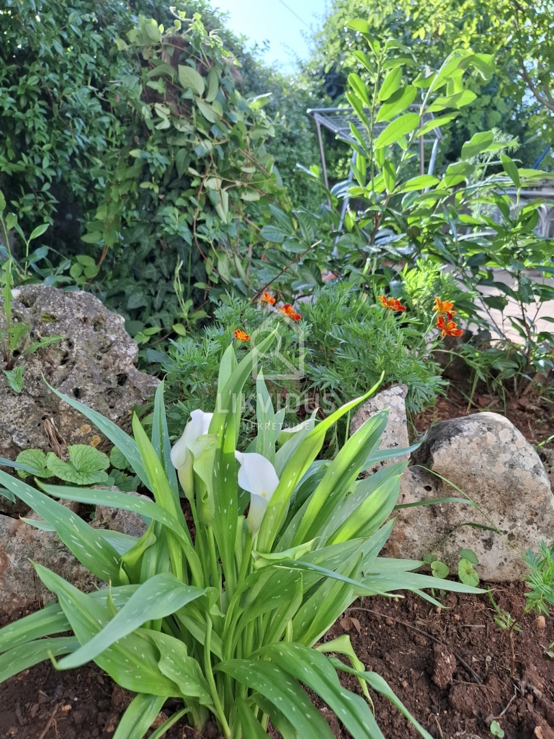 Casa Filipana, Marčana, 300m2