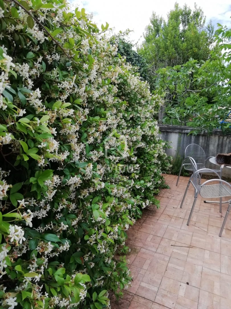 Casa Filipana, Marčana, 300m2