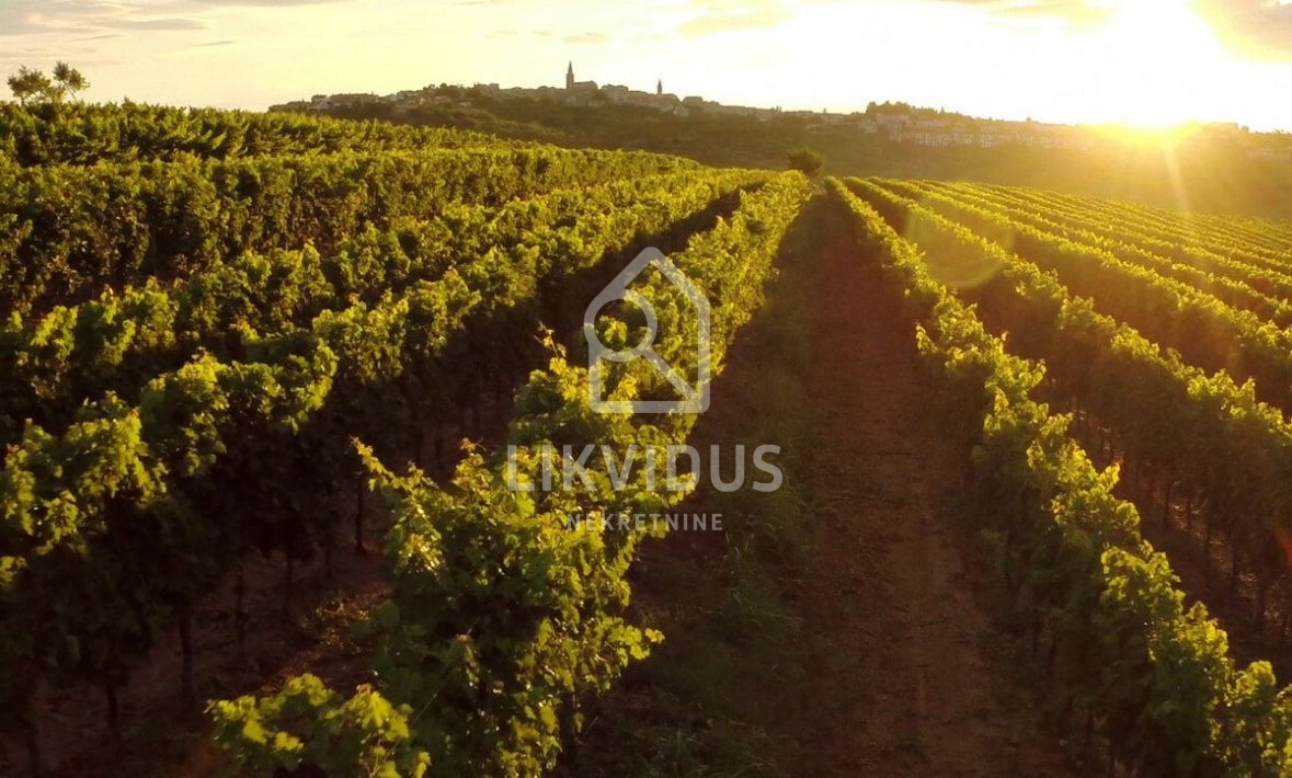 Casa Momjan, Buje, 159m2