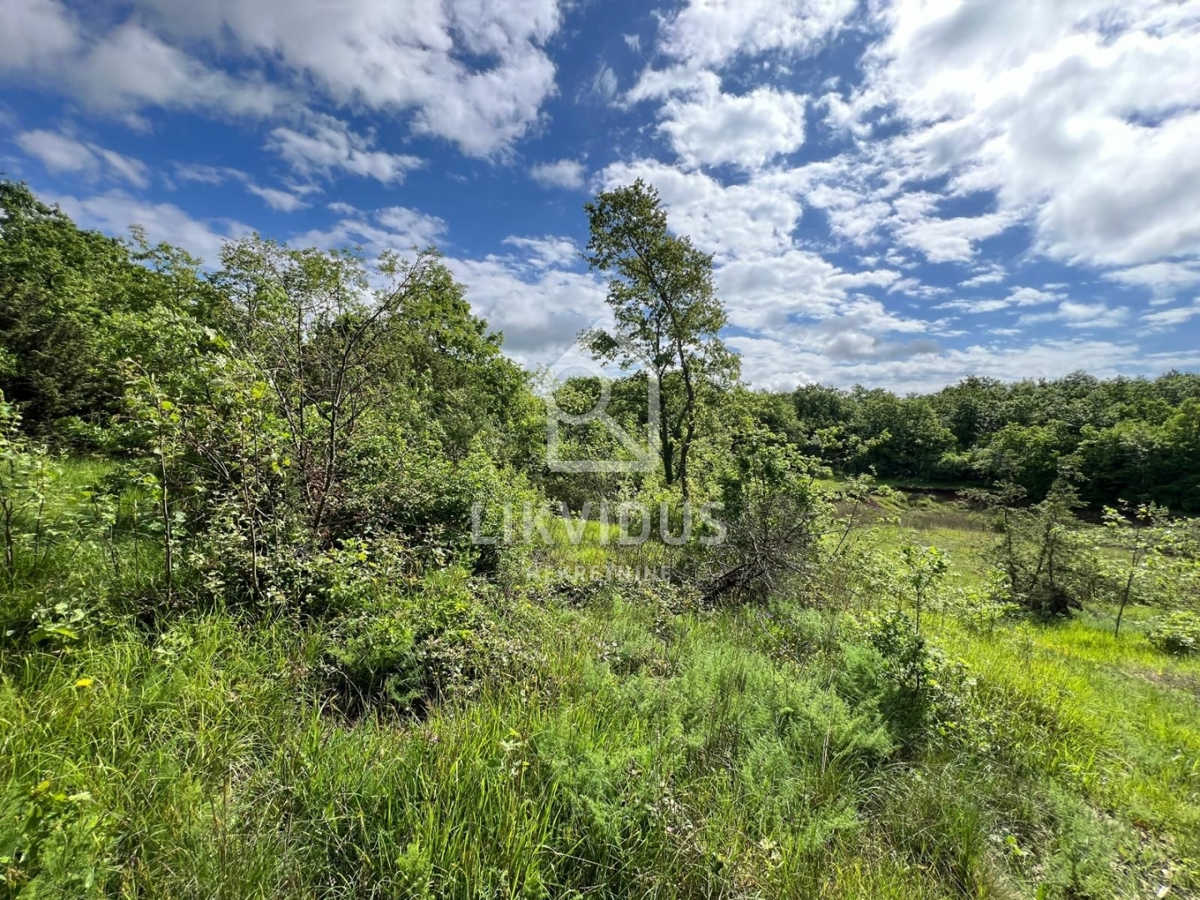 Terreno Šarići, Marčana, 26.000m2