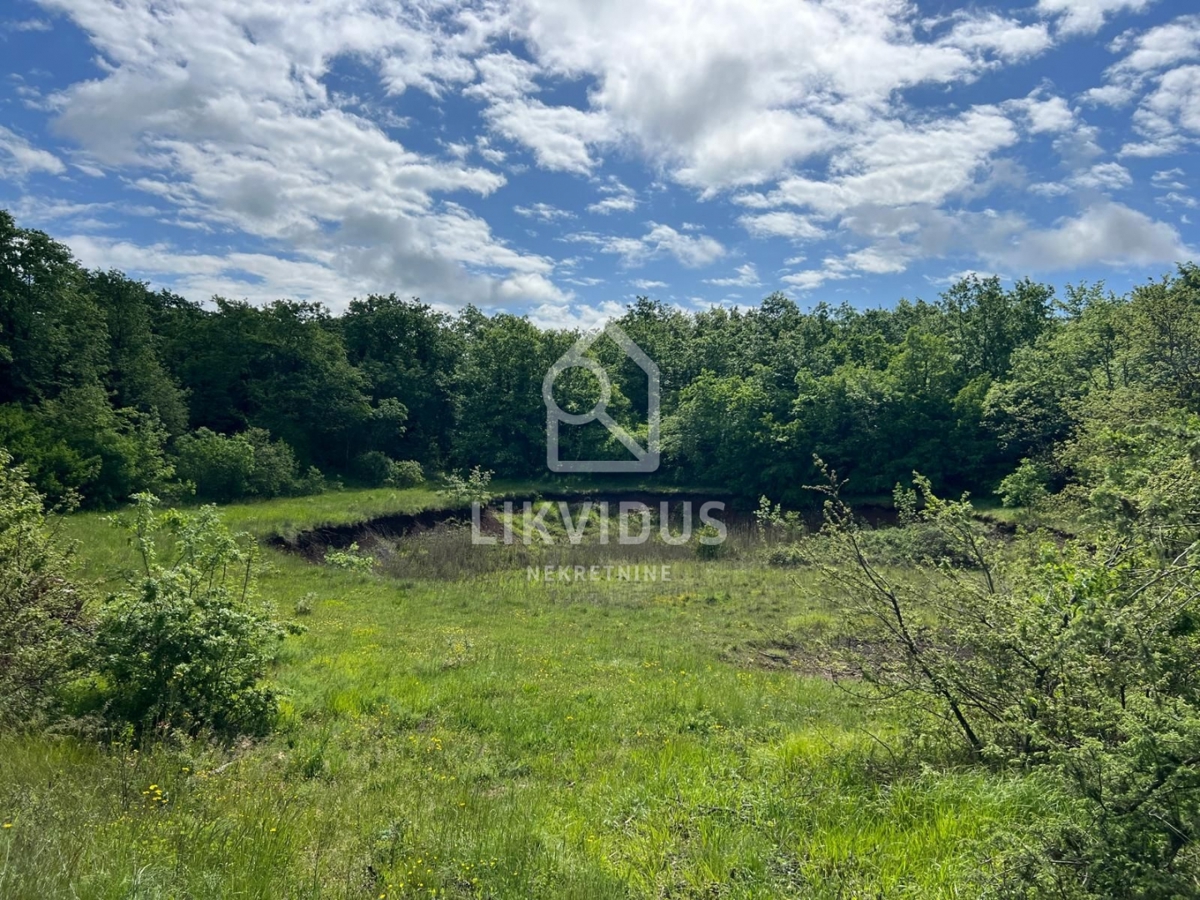 Terreno Šarići, Marčana, 26.000m2