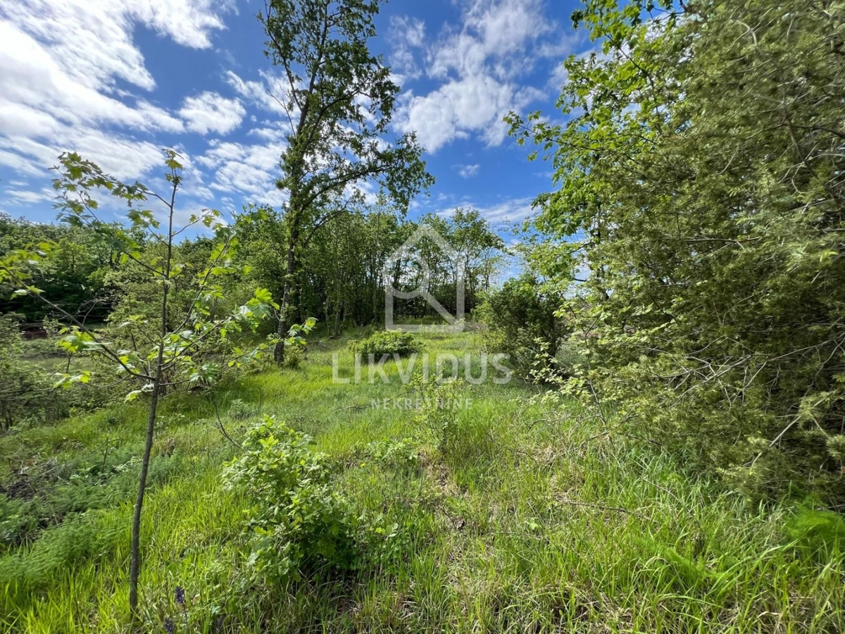 Terreno Šarići, Marčana, 26.000m2