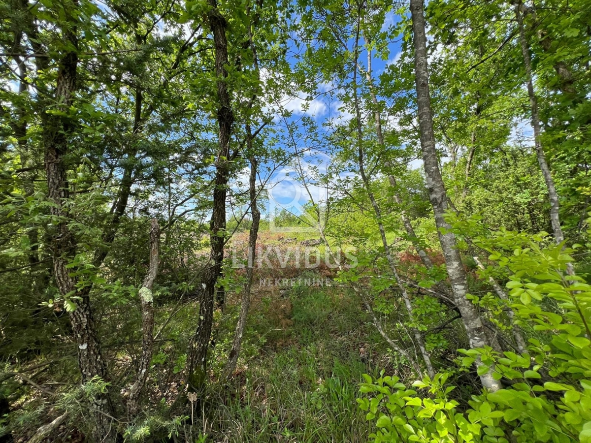 Terreno Šarići, Marčana, 26.000m2