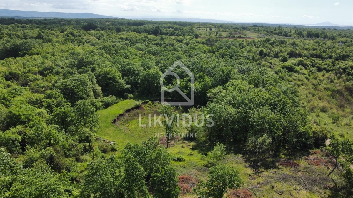 Terreno Šarići, Marčana, 26.000m2