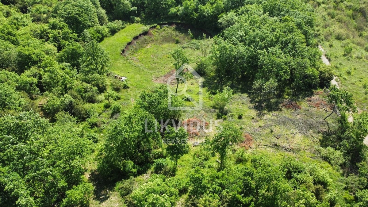 Terreno Šarići, Marčana, 26.000m2