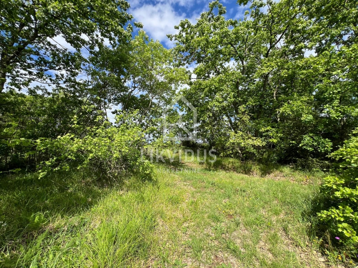 Terreno Šarići, Marčana, 26.000m2