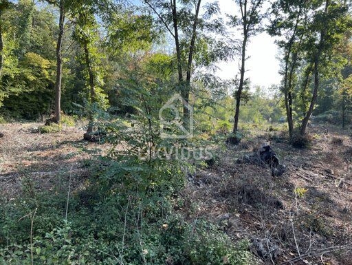 Terreno Rakotule, Karojba, 1.450m2