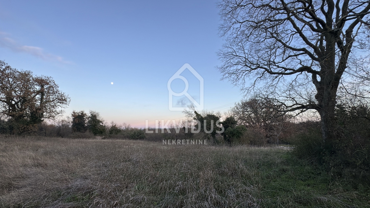 Terreno Šajini, Barban, 3.000m2