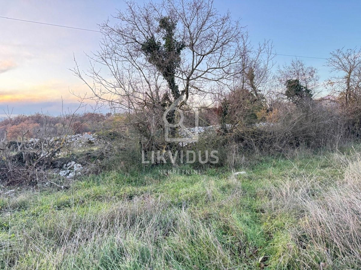 Terreno Šajini, Barban, 3.000m2