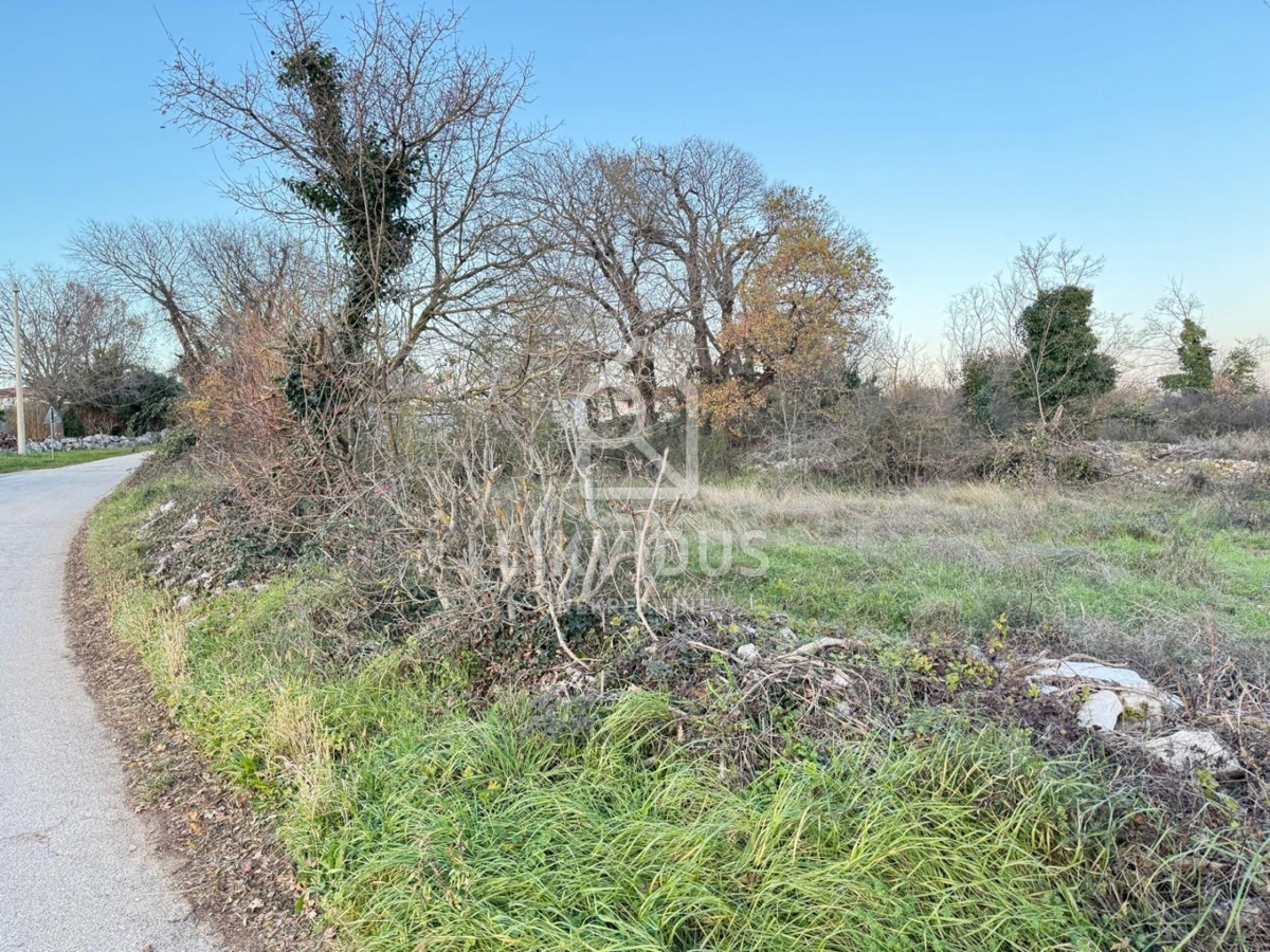 Terreno Šajini, Barban, 3.000m2