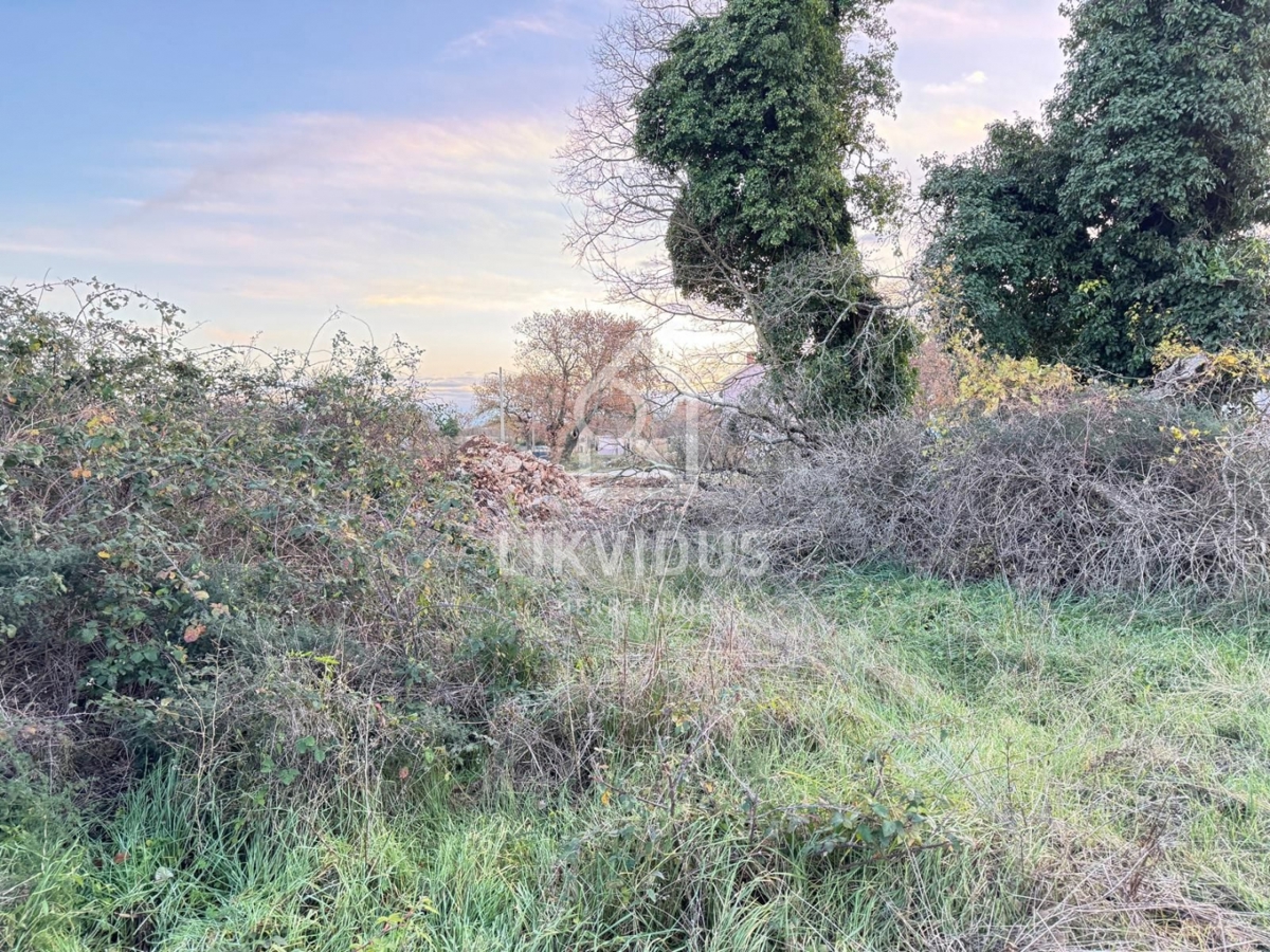 Terreno Šajini, Barban, 3.000m2