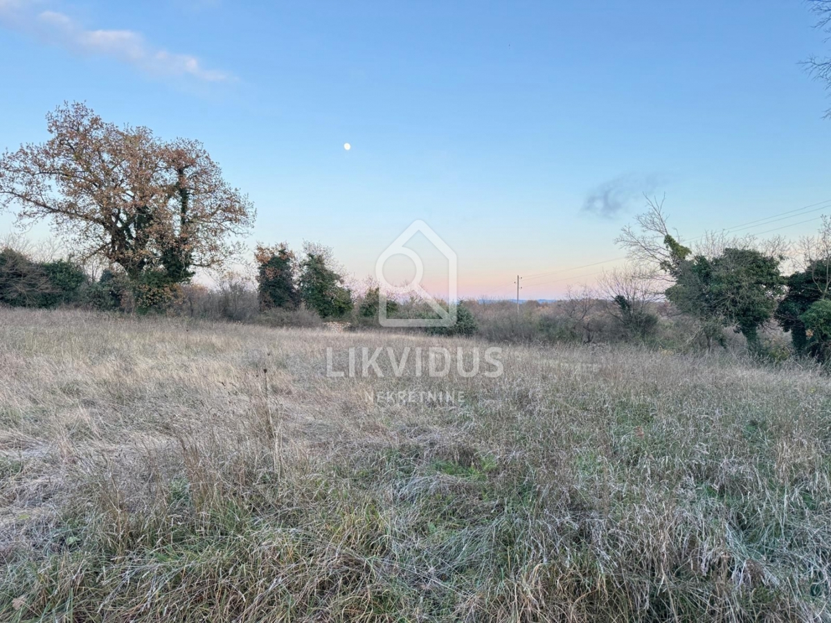 Terreno Šajini, Barban, 3.000m2