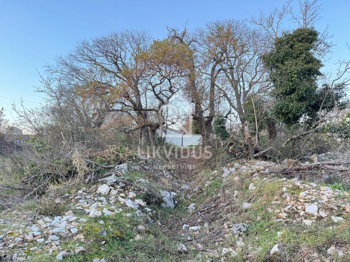 Terreno Šajini, Barban, 3.000m2