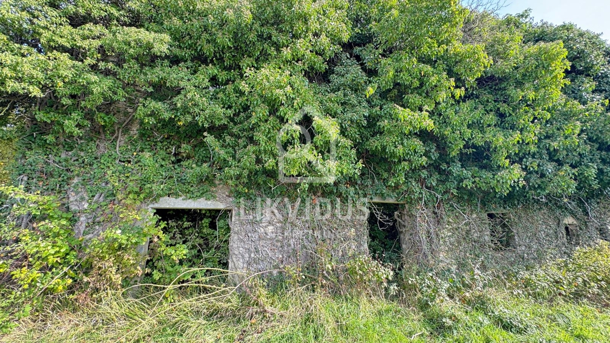 Terreno Draguć, Cerovlje, 120.000m2