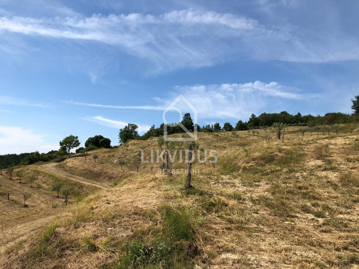 Terreno Draguć, Cerovlje, 120.000m2