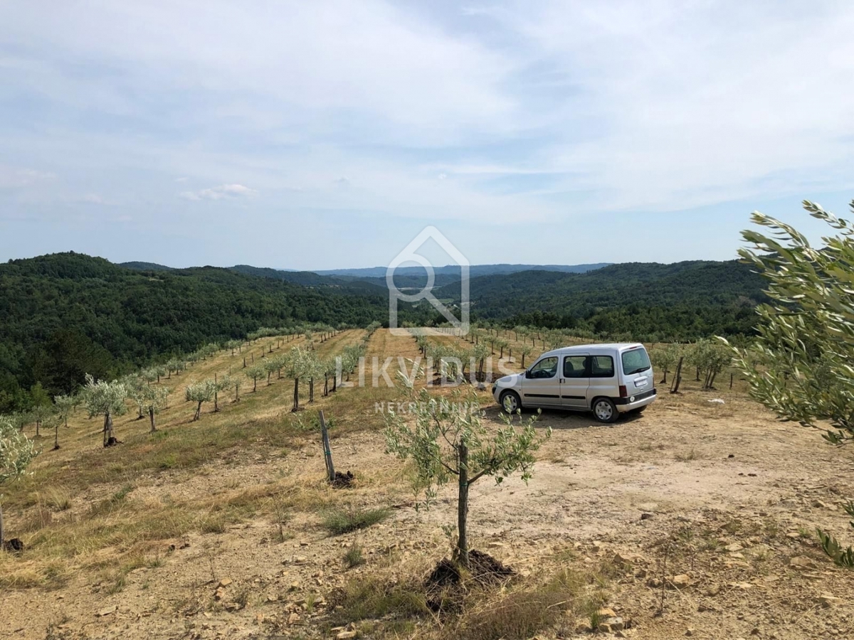 Terreno Draguć, Cerovlje, 120.000m2