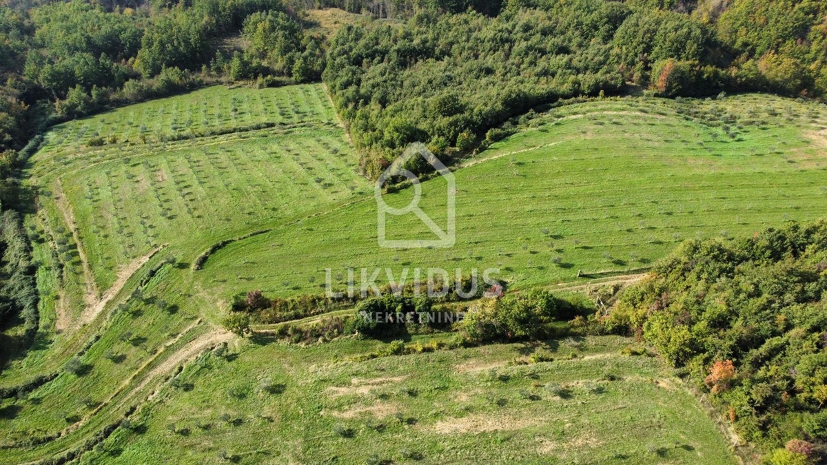 Terreno Draguć, Cerovlje, 120.000m2