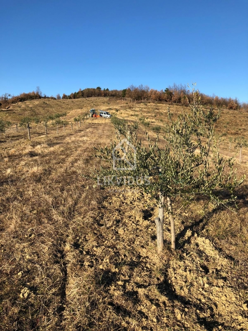 Terreno Draguć, Cerovlje, 120.000m2