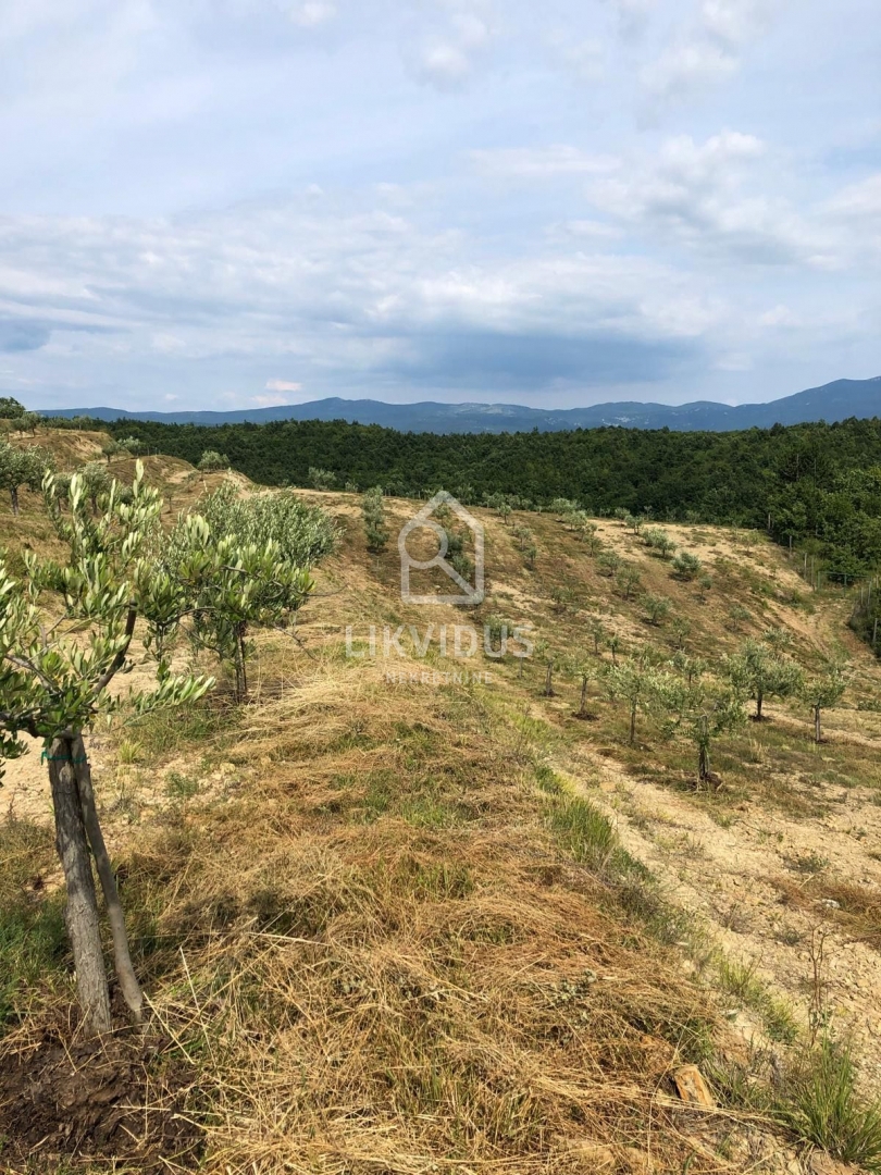 Terreno Draguć, Cerovlje, 120.000m2